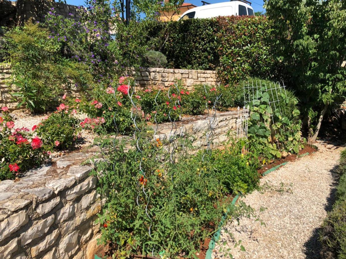 Villa Casa Stefanie Kaštelir Exterior foto